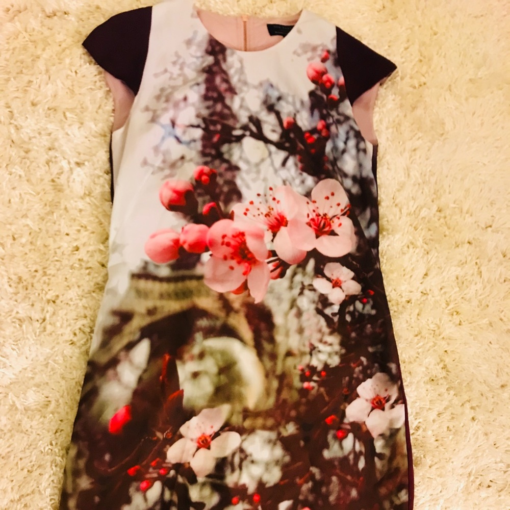 Ted Baker Shift Dress!!